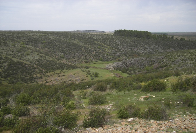 Rutas geológicas