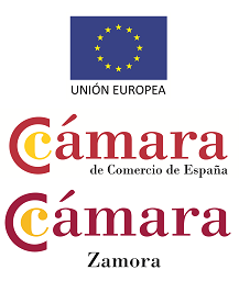 Tic Camaras
