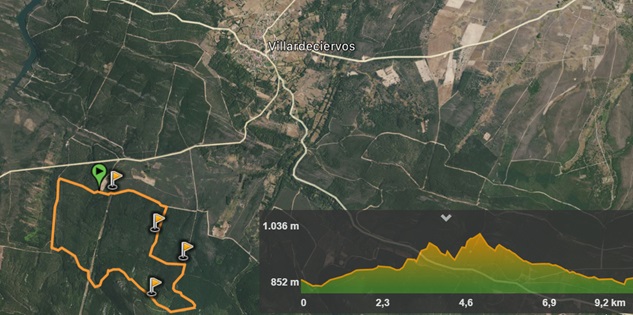 Ruta19 Pinares Villardeciervos