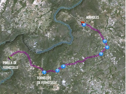 ruta pinilla de fermoselle